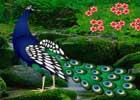 play Miraculous Daylight Forest Escape
