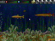 play Iafish Game