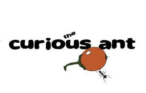 play The Curious Ant