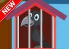 play Crow Rescue