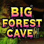 play Big Forest Cave Escape