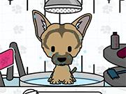 play Pet Salon Doggy Days