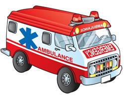 play Ambulance Trucks Differences