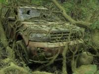 play Abandoned Jungle Escape