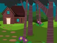 play Find Teddy Bear Escape