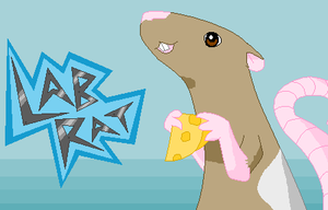 play Lab Rat
