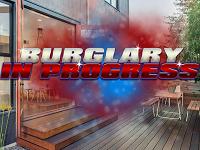 play Burglary In Progress