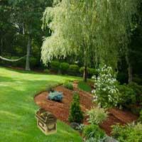 play Landscape Lawn Escape