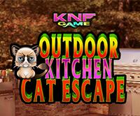 Outdoor Kitchen - Cat Escape