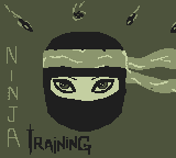 play Ninja Training