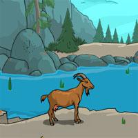 play Zoozoo Goat Rescue