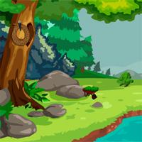 play Tiger Rescue Escape