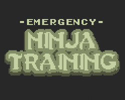 play Emergency Ninja Training