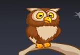 play Desert Owl Rescue