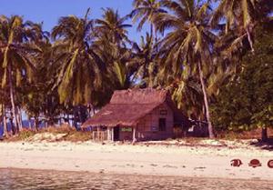 Tourist Island Boat