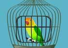 play Yellow Parrot Cage Escape