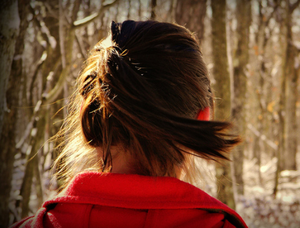 Little Red Walk In The Woods