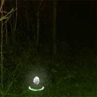 play Horrify Forest Escape