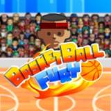 play Basketball Fury