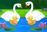 play Swan Couple Rescue