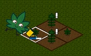 play Hemp Tycoon