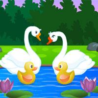 G4K-Swan-Couple-Rescue-