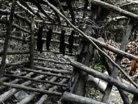 play Abandoned Cage Escape