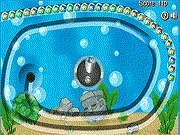 Aquarium Lines Game