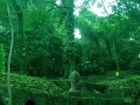 Abandoned Mayan Forest Escape