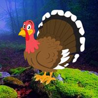 play Redwood Forest Turkey Escape