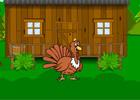 play Lost Turkey Escape