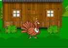 play Lost Turkey Escape