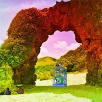 play Avmgames Kidnapped Green Frog Escape
