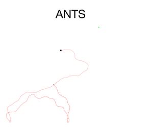 play Ants
