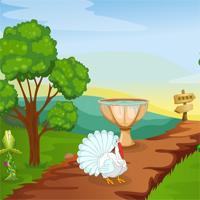 play National Thanksgiving Turkey Adventure