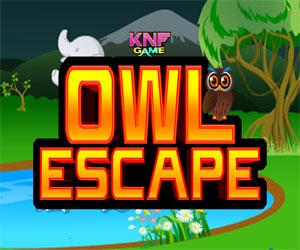 play Forest Owl Escape
