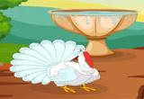 play National Thanksgiving Turkey Adventure