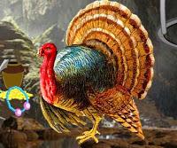 play Thanksgiving Turkey Cave Escape