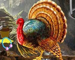 Thanksgiving Turkey Cave Escape