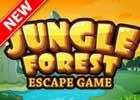 Jungle Forest Escape Game