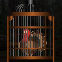 play Thanksgiving Turkey Cage Escape