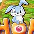play Hop Don'T Stop
