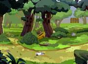 play Jungle Forest Escape