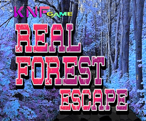 play Real Forest Escape