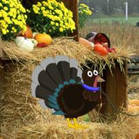 play Thanksgiving Fall Forest Escape