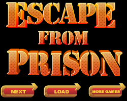 Escape From Prison