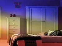 play Natty Color House Escape