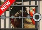 play Make Evade Turkey