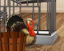 play Make Evade Turkey