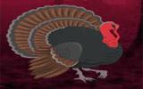 play Wild Turkey Fairyland Escape